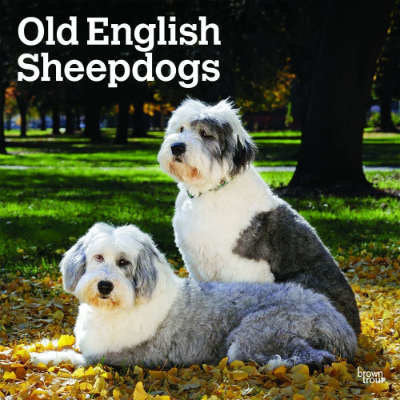 old-english-sheepdog-kalenders