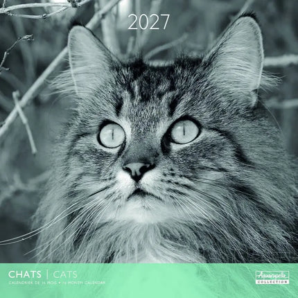 Aquarupella Katten in Zwart Wit Kalender 2027