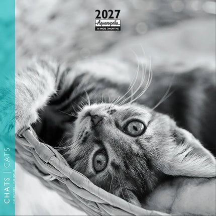 Aquarupella Katten Kalender 2027 Mini