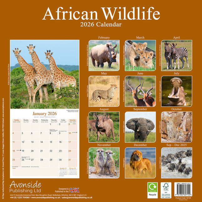 Avonside African Wildlife Kalender 2026