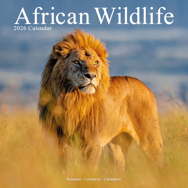 Avonside African Wildlife Kalender 2026