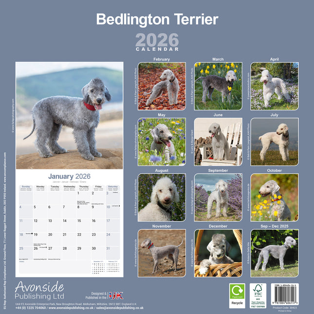 Avonside Bedlington Terrier Kalender 2026