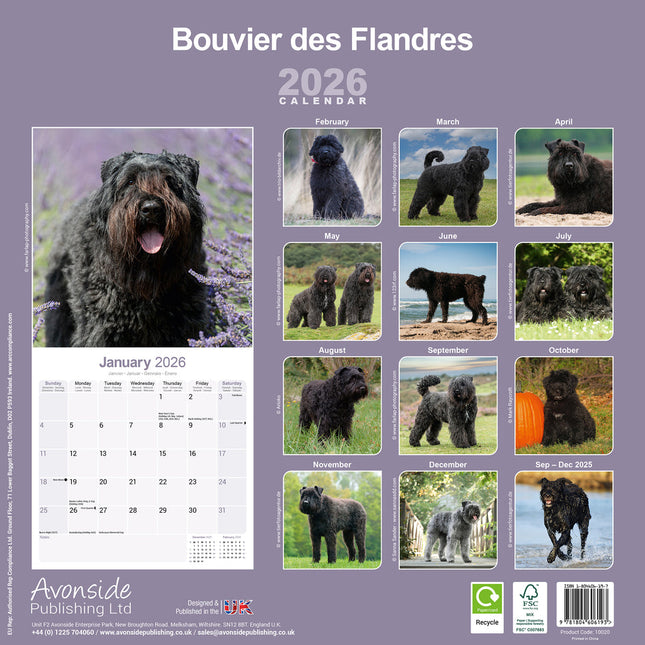Avonside Bouvier Kalender 2026
