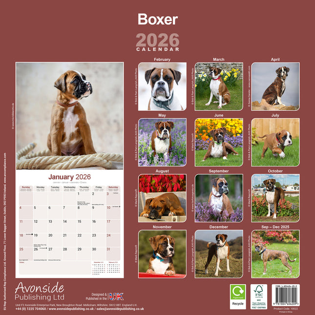 Avonside Boxer Kalender 2026