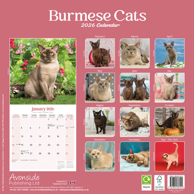 Avonside Burmees Kalender 2026
