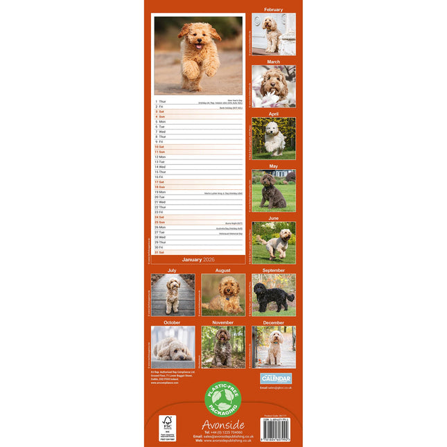 Avonside Cockapoo Kalender 2026 Slimline