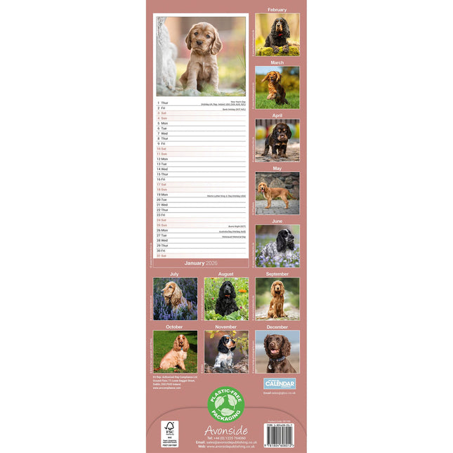 Avonside Engelse Cocker Spaniel Kalender 2026 Slimline