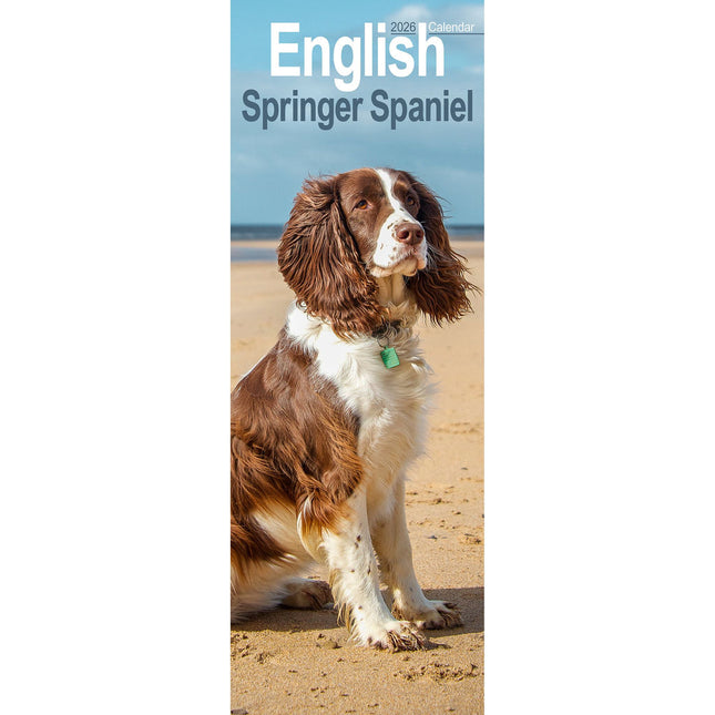 Avonside Engelse Springer Spaniel Kalender 2026 Slimline