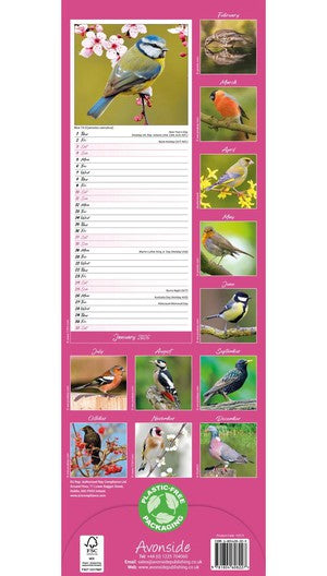 Avonside Garden Birds Kalender 2026 Slimline