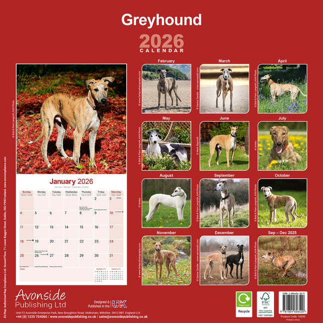 Avonside Greyhound Kalender 2026