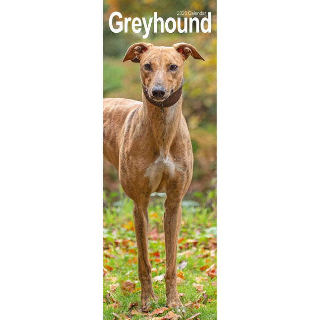 Avonside Greyhound Kalender 2026 Slimline