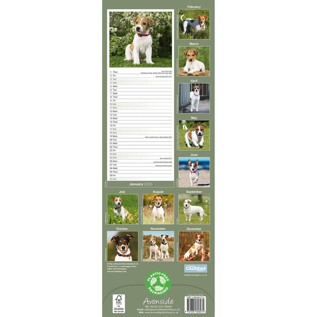 Avonside Jack Russell Terrier Kalender 2026 Slimline
