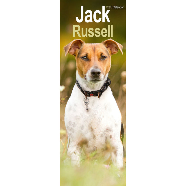 Avonside Jack Russell Terrier Kalender 2026 Slimline