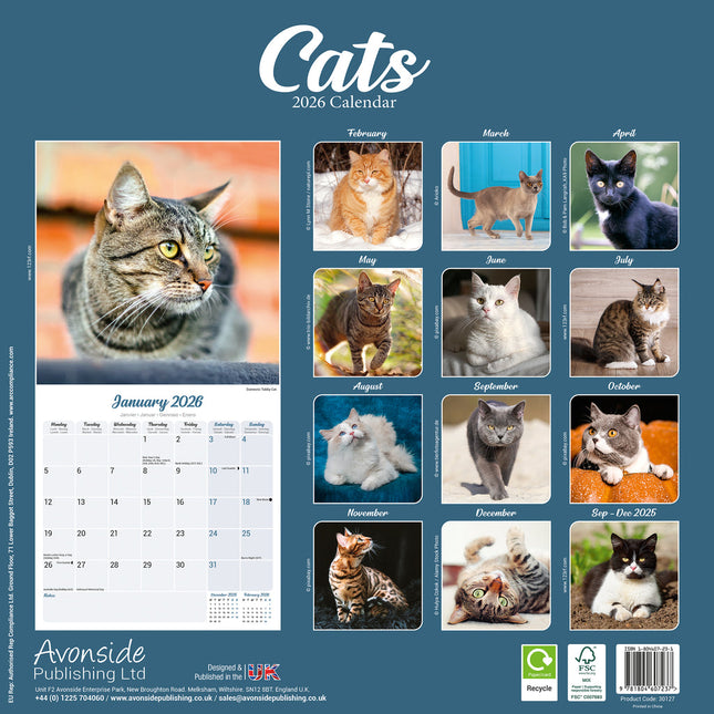 Avonside Katten Kalender 2026