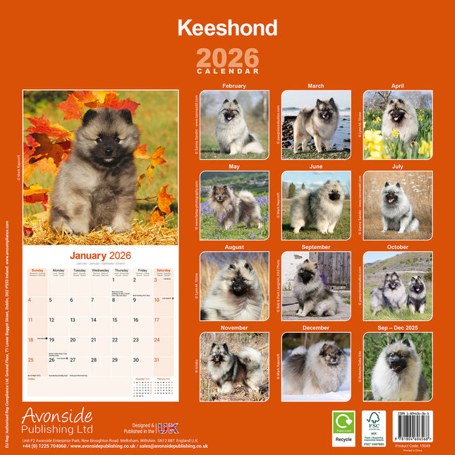 Avonside Keeshond Kalender 2026