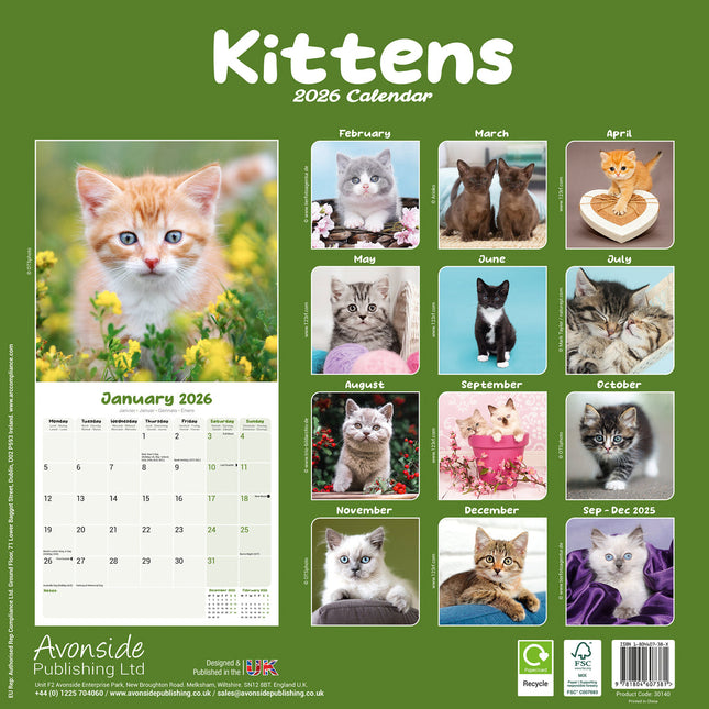 Avonside Kittens Kalender 2026