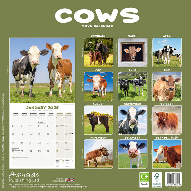 Avonside Koeien Kalender 2026