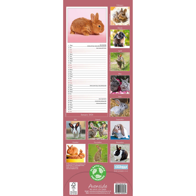 Avonside Konijnen Kalender 2026 Slimline