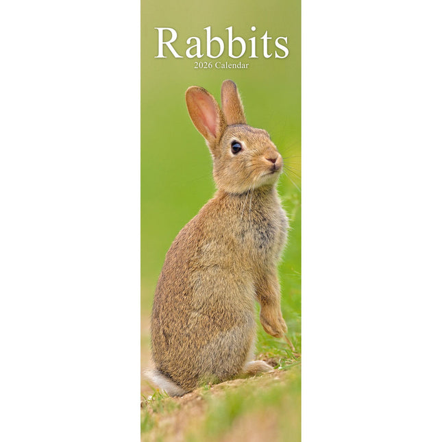 Avonside Konijnen Kalender 2026 Slimline