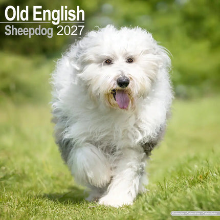 Avonside Old English Sheepdog Kalender 2027