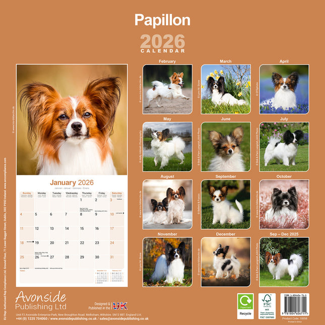 Avonside Papillon Kalender 2026