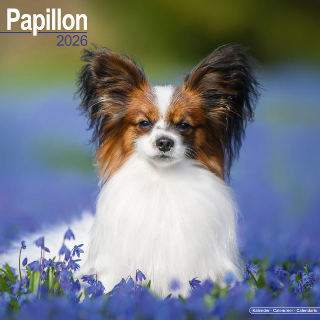 Avonside Papillon Kalender 2026