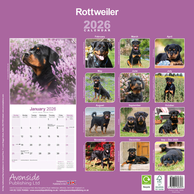 Avonside Rottweiler Kalender 2026