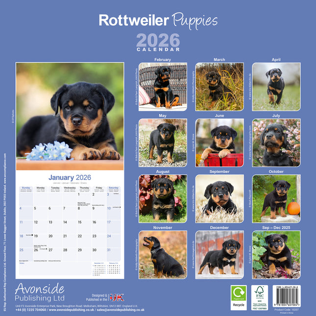 Avonside Rottweiler Puppies Kalender 2026