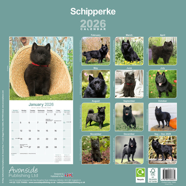 Avonside Schipperke Kalender 2026