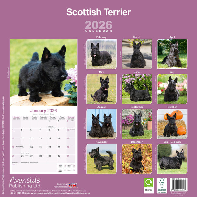 Avonside Schotse Terrier Kalender 2026