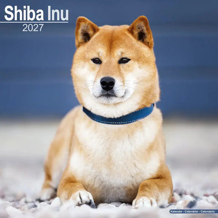 Avonside Shiba Inu Kalender 2027