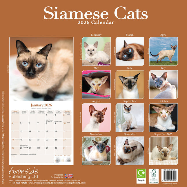 Avonside Siamees Kalender 2026