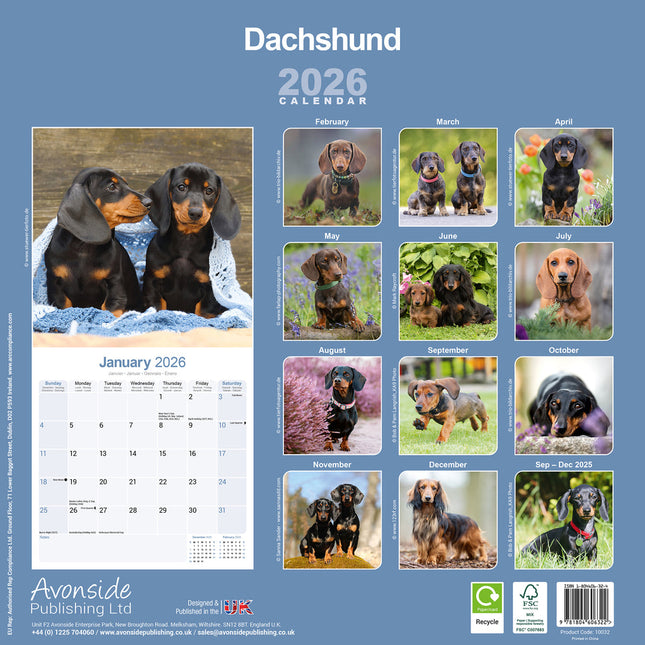 Avonside Teckel Kalender 2026