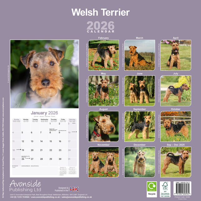 Avonside Welsh Terrier Kalender 2026
