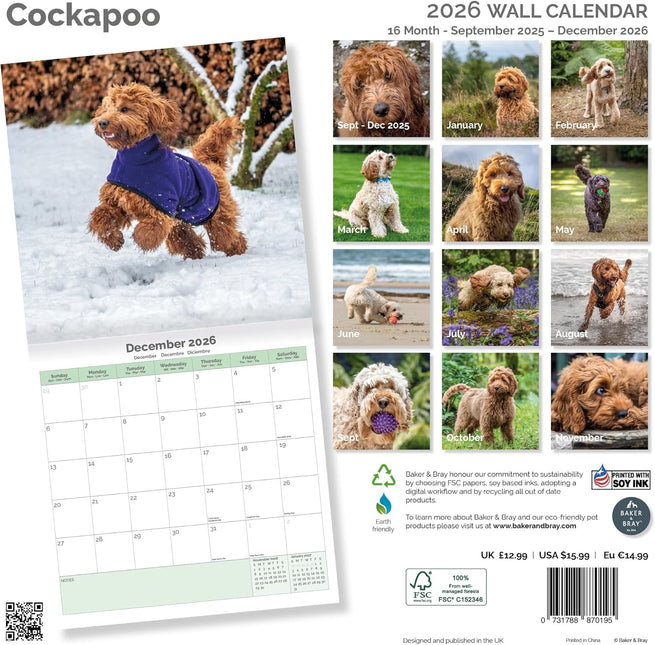 Baker & Bray Cockapoo Kalender 2026