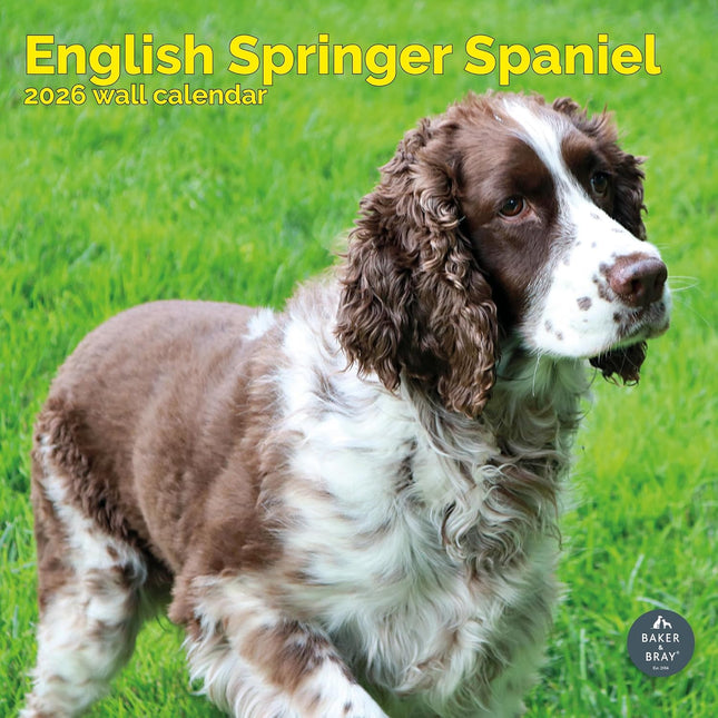 Baker & Bray Engelse Springer Spaniel Kalender 2026