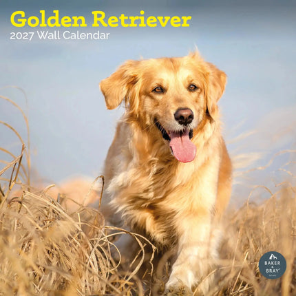 Baker & Bray Golden Retriever Kalender 2027