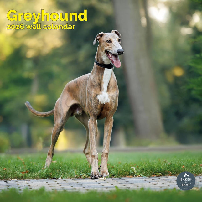 Baker & Bray Greyhound Kalender 2026