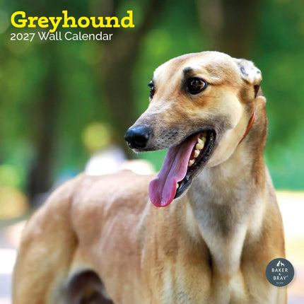 Baker & Bray Greyhound Kalender 2027