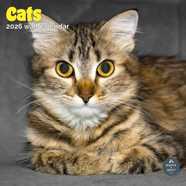 Baker & Bray Katten Kalender 2026