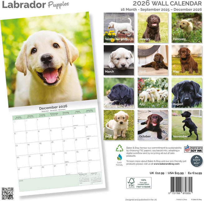 Baker & Bray Labrador Retriever Puppies Kalender 2026