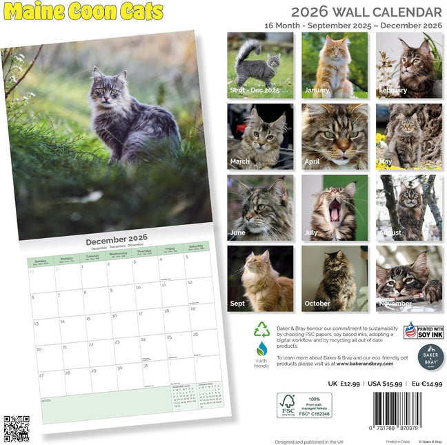 Baker & Bray Maine Coon Kalender 2026