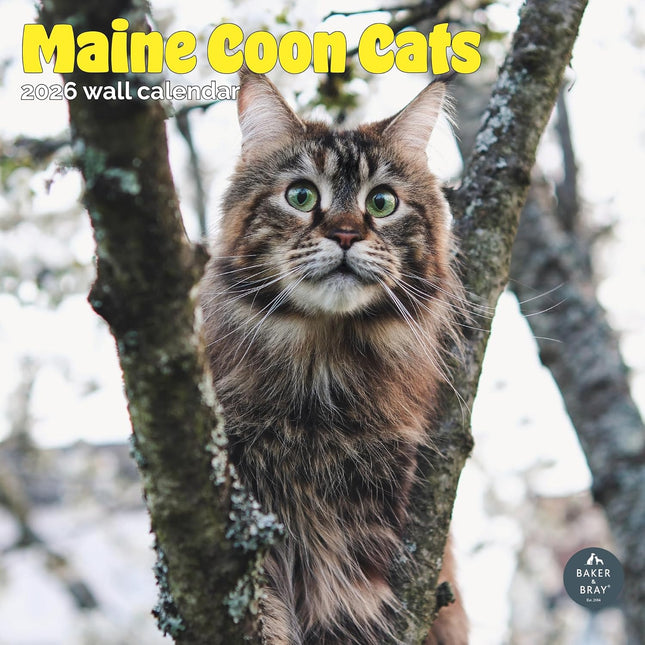 Baker & Bray Maine Coon Kalender 2026