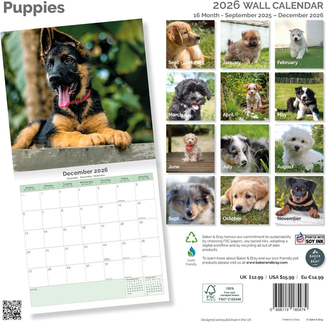 Baker & Bray Puppies Kalender 2026