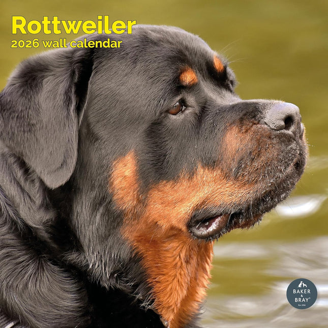 Baker & Bray Rottweiler Kalender 2026