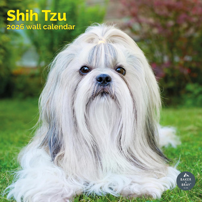 Baker & Bray Shih Tzu Kalender 2026