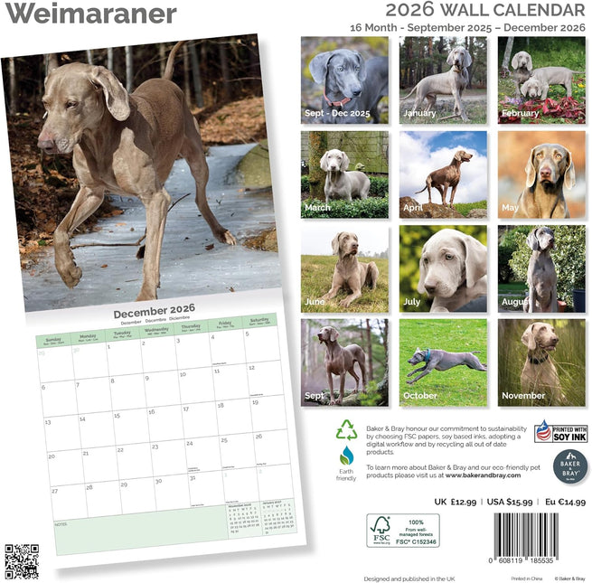 Baker & Bray Weimaraner Kalender 2026