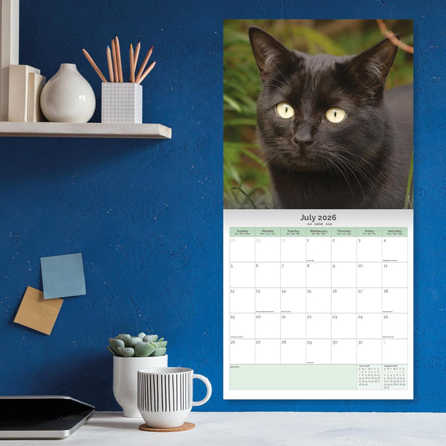 Baker & Bray Zwarte Kittens Kalender 2026