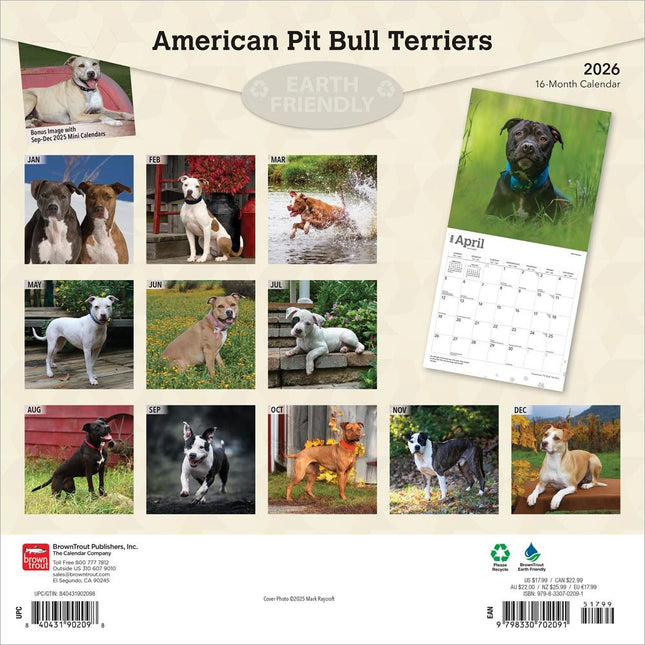 Browntrout American Pit Bull Terrier Kalender 2026