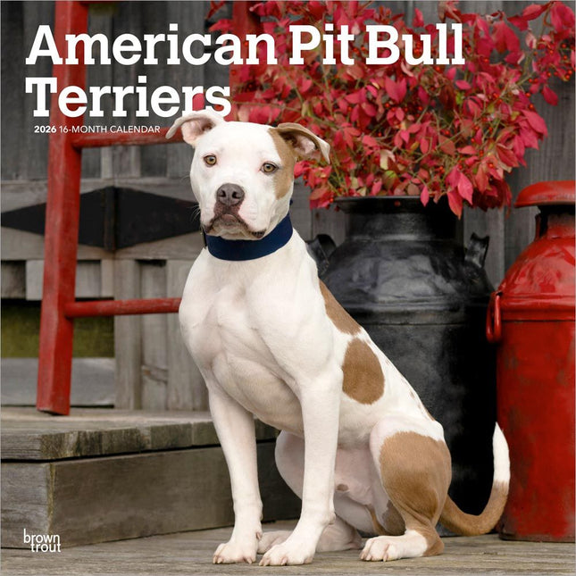 Browntrout American Pit Bull Terrier Kalender 2026